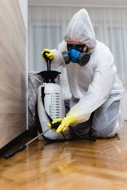 Best Pest Exclusion Services  in Birch Run, MI